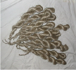 Antique Bundle of Flax Stricks